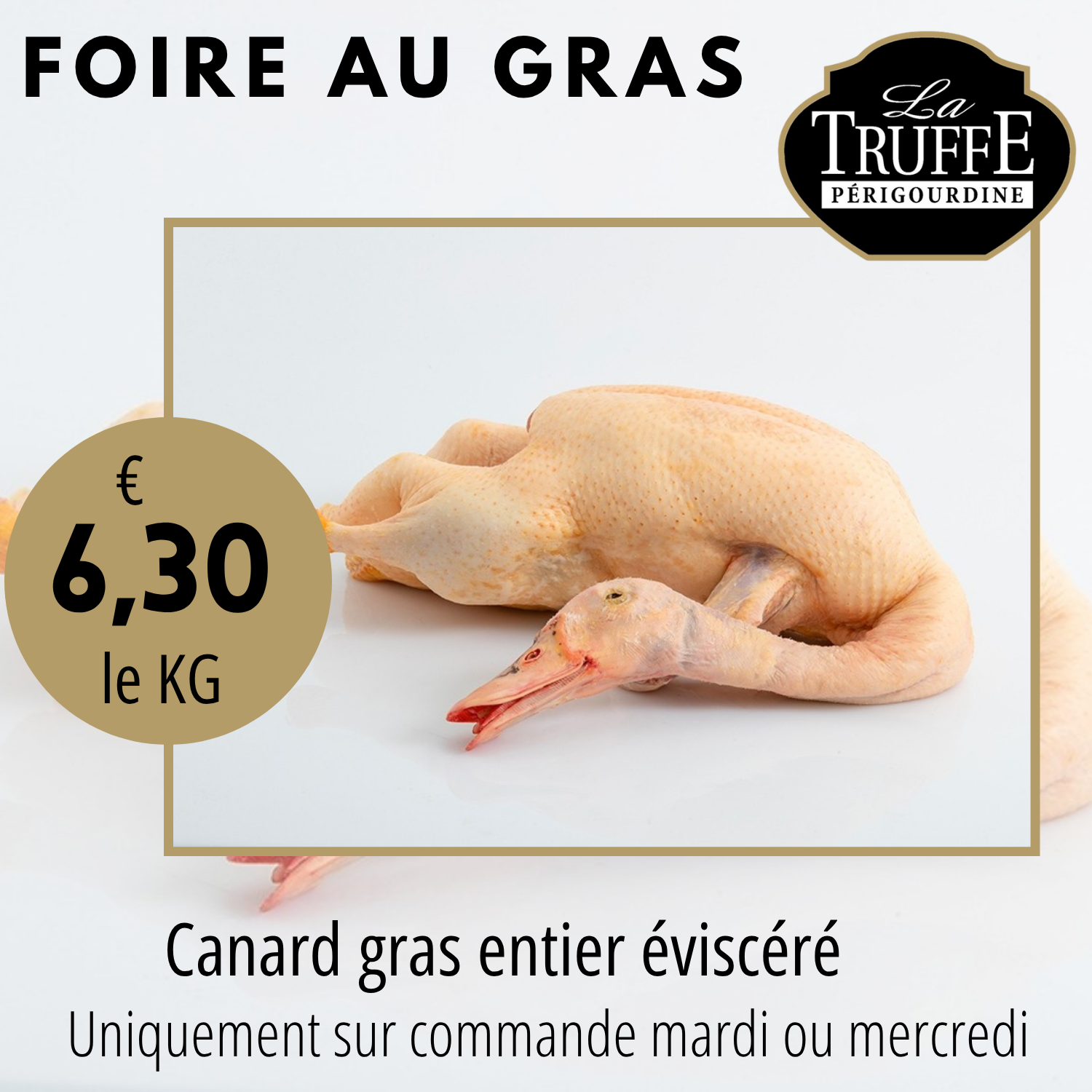 canard FAG 2